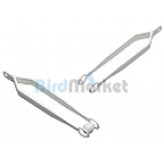 Λαβίδα Αυγών 